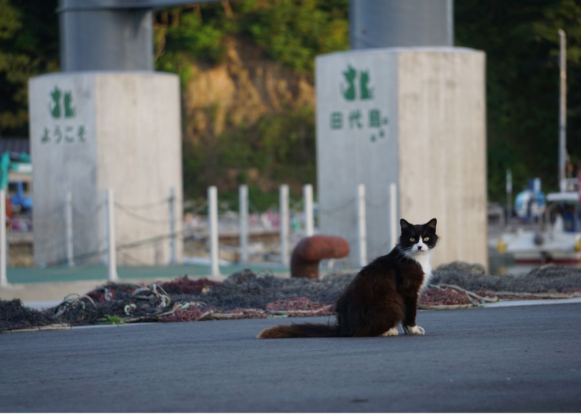 田代島