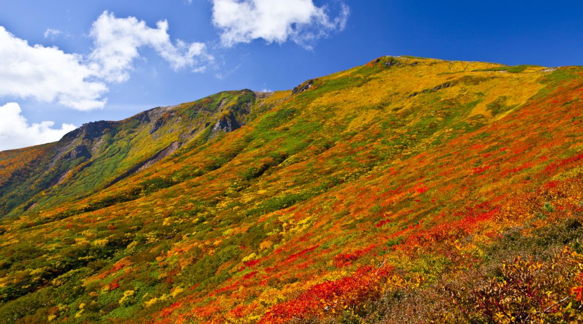 栗駒山の紅葉『神の絨毯』